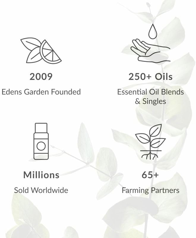 Edens Garden Bee Happy Room Spray, All Natural & Made - Image 6