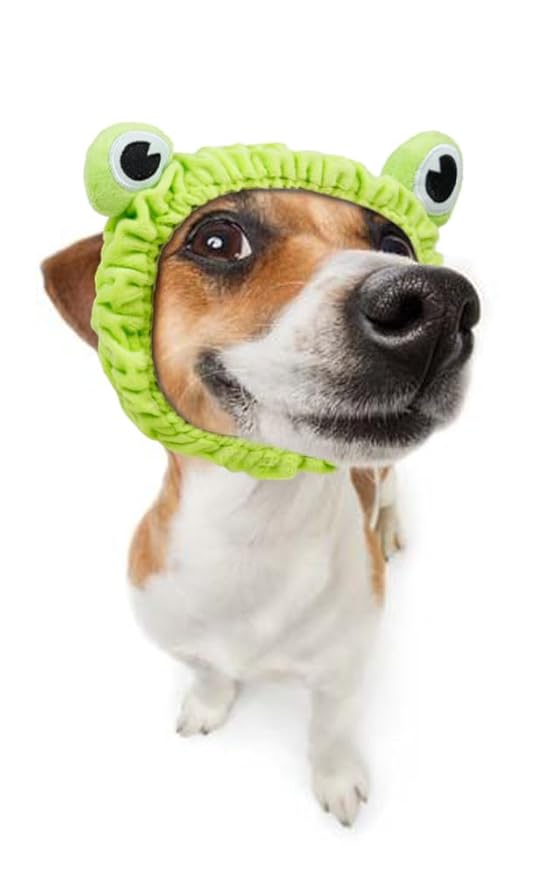 Huachi Makeup Headbands for Women for Washing Face Frog Headband Cute Spa - Image 6