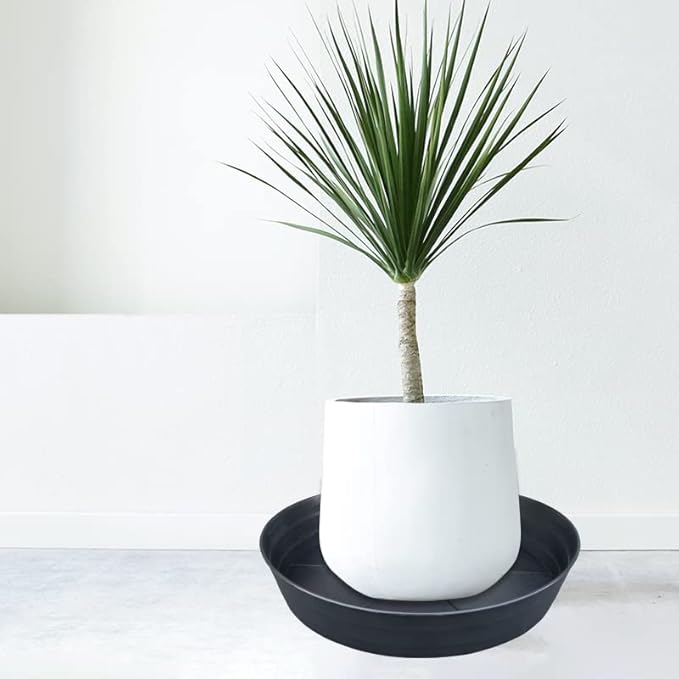 25 Inch Extra Large Plant Saucers, Extra-Deep 4.25 in Black Drip Trays - Image 7