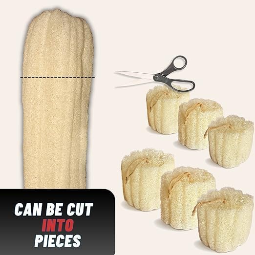 Whole Egyptian Loofah 100% Natural Organic Loofah Exfoliating Scrubber - Image 4
