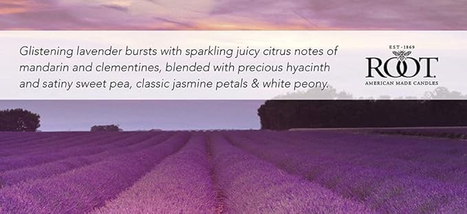 Root Candles Scented Candles Honeycomb Veriglass Premium Handcrafted Beeswax - Image 2