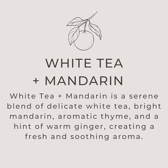 River Birch White Tea + Mandarin Scented Linen and Room Spray | Home Fragrance - Image 3
