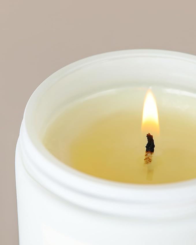 AOOVOO Candle - 9oz Soy Wax Scented Candles, I Wish You Lived Next Door Candles - Image 7