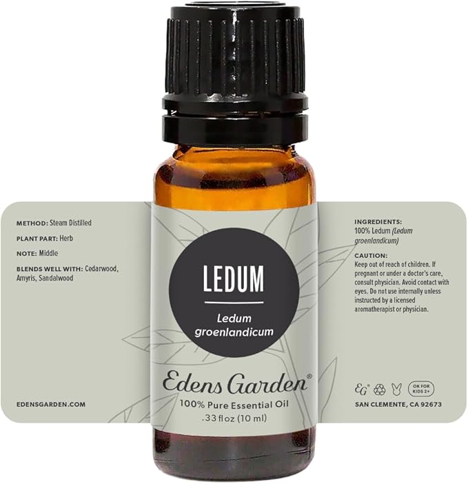 Edens Garden Ledum Essential Oil- 100% Pure Premium Grade, Therapeutic - Image 8