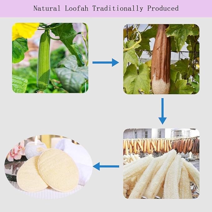 Natural Loofah Exfoliating Body Scrubber, Bath Shower Loofah Sponge - Image 4