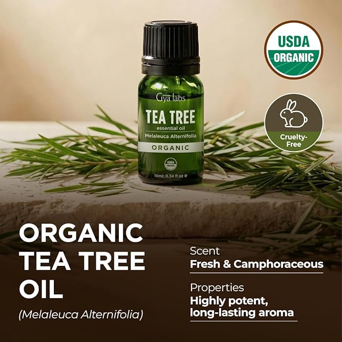 Gya Labs USDA Organic Tea Tree Essential Oil - Image 5