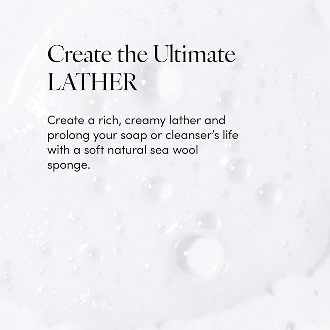 LATHER - Natural Sea Wool Sponge, 5-6" - Organic Exfoliating Body Scrubber - - Image 4