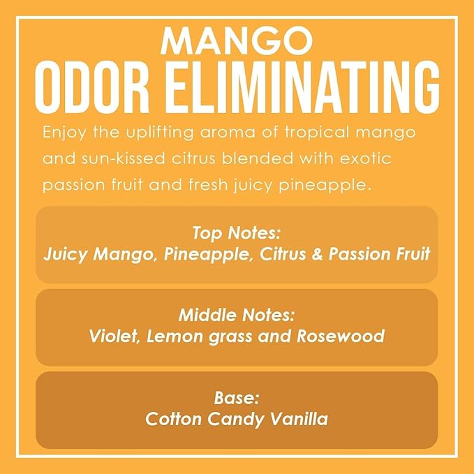 Mango Two Pack Odor Eliminating Highly Fragranced Candle - Image 5