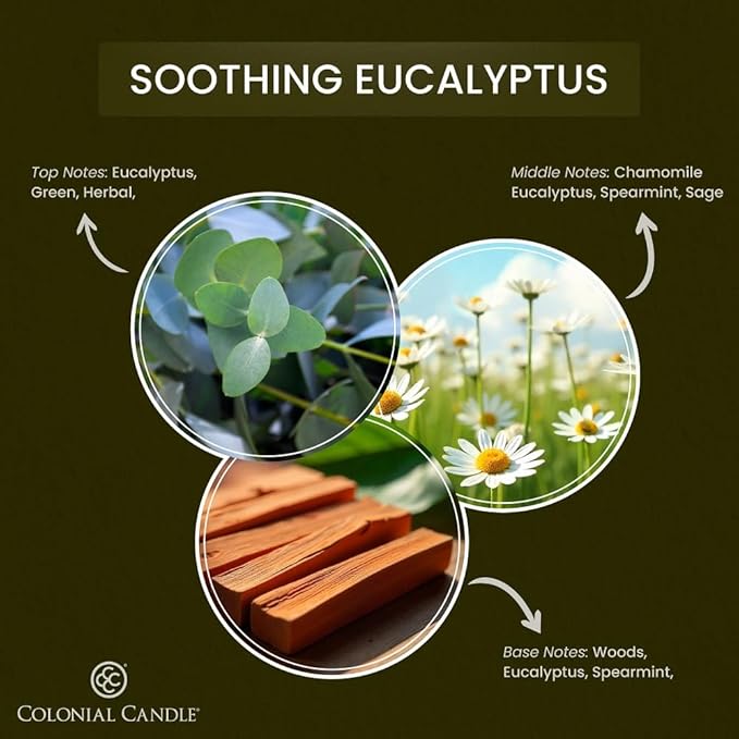 Colonial Candle Soothing Eucalyptus Wax Melts, Wax Melt Warmer Cubes, Long - Image 2