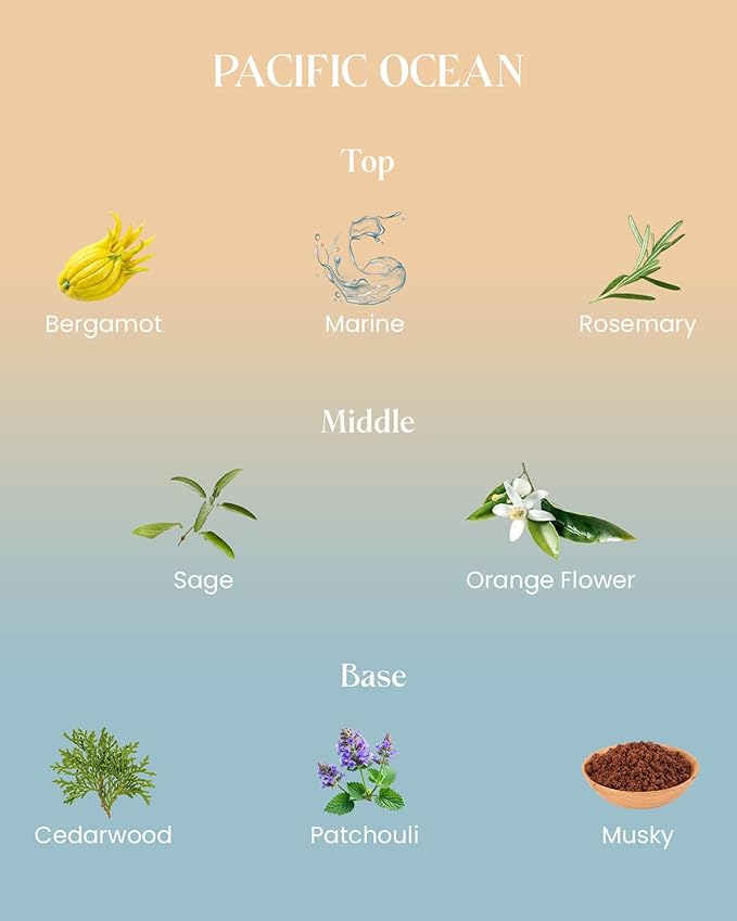 M&SENSE Summer Ocean Scented Candles - Image 2