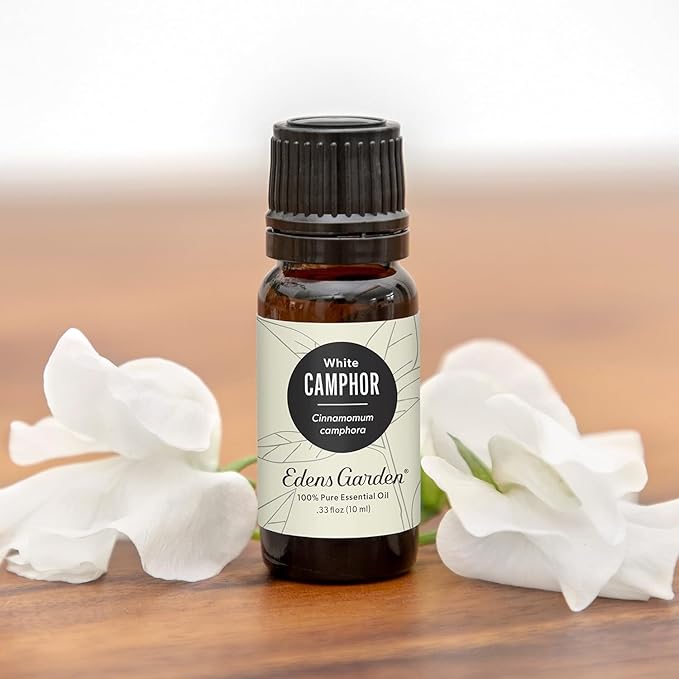 Edens Garden Camphor- White Essential Oil- 100% Pure Premium Grade, Therapeutic - Image 2