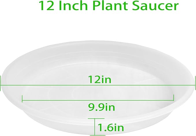 6 Pack of 12 inch Clear Plant Saucer Plant Tray, Plastic Plant Saucer 12 inch - Image 2