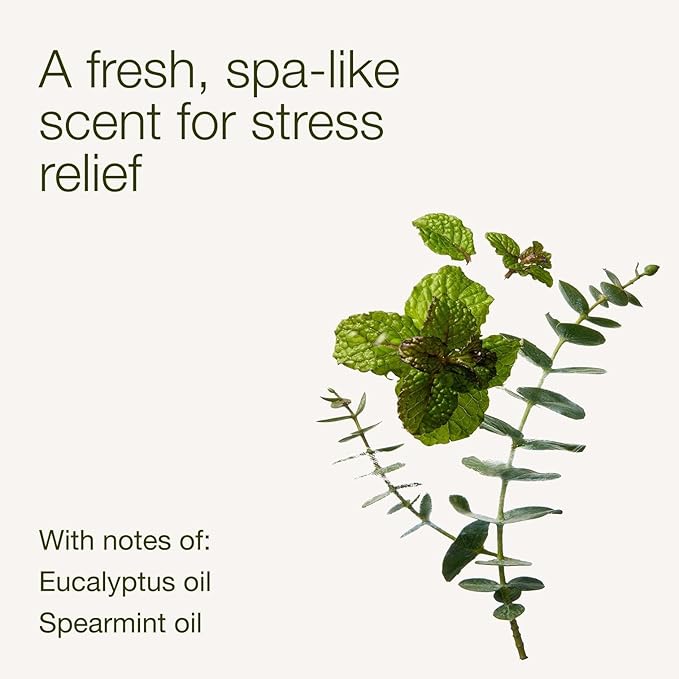 Bath & Body Works Eucalyptus Spearmint Body Wash & Foam Bath, Aromatherapy - Image 3