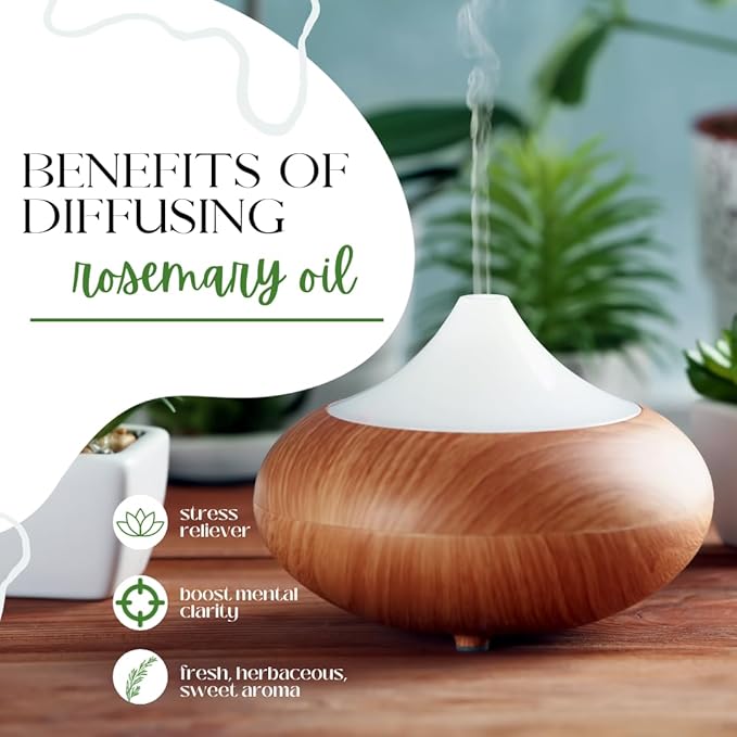 2 Bottles - 16 fl oz Rosemary Essential Oil, Aluminum Bottle - GreenHealth - Image 6