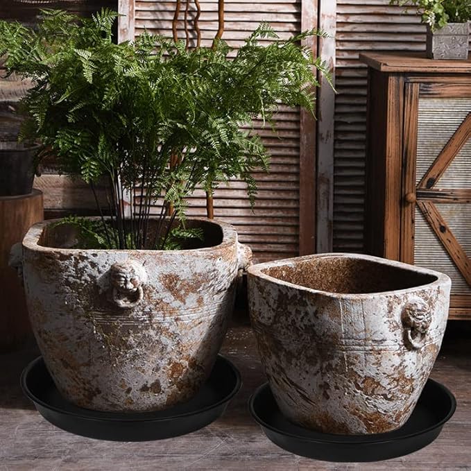 2 Pack of Bird Bath Bowl 18 19 inch, 2.7" Depth, 20 21 22 23 24 25 26 inch - Image 6