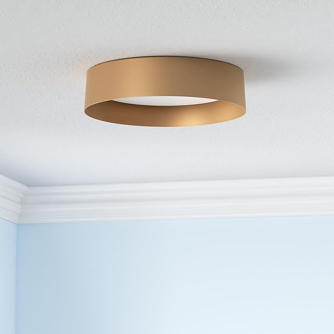 Bargeni Flush Mount Ceiling Light, 16.5 inch LED Ceiling Light Fixture - Image 2