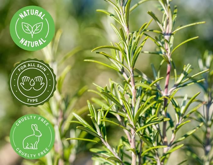 2 Bottles - 16 fl oz Rosemary Essential Oil, Aluminum Bottle - GreenHealth - Image 5