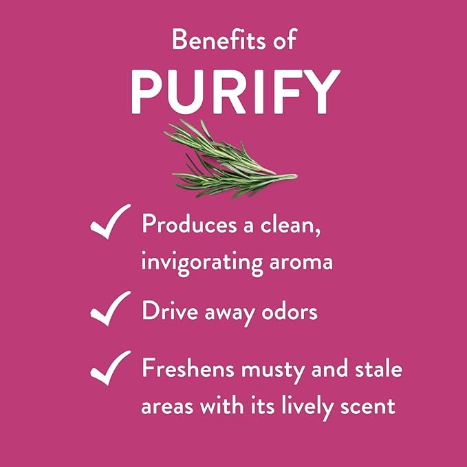 Purify Essential Oil Blend 30 mL by Revive Essential Oils - Image 3