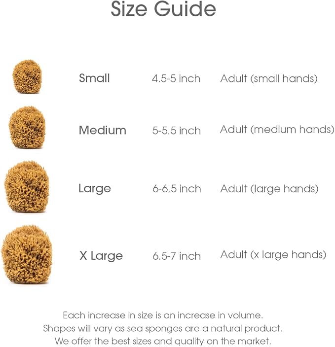 Naroa Soft Natural Sponge X Large | Gentle Sea Loofah - Image 6