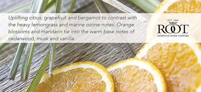 Root Candles Scented Candles Honeycomb Beeswax Blend Premium Handcrafted Candle - Image 4