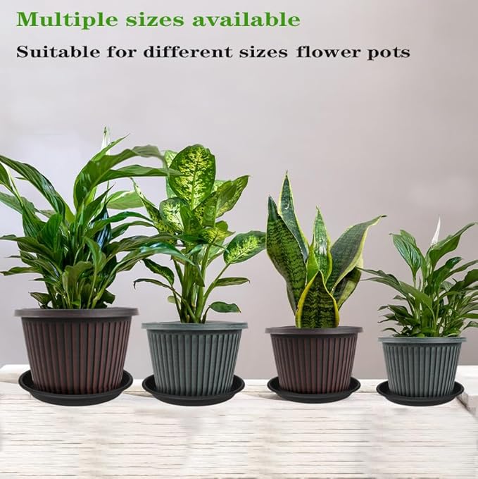 6 Pack Plant Saucers for Indoors, 4 5 6 7 8 9 10 11 12 13 15 17 19 inch Plant - Image 4