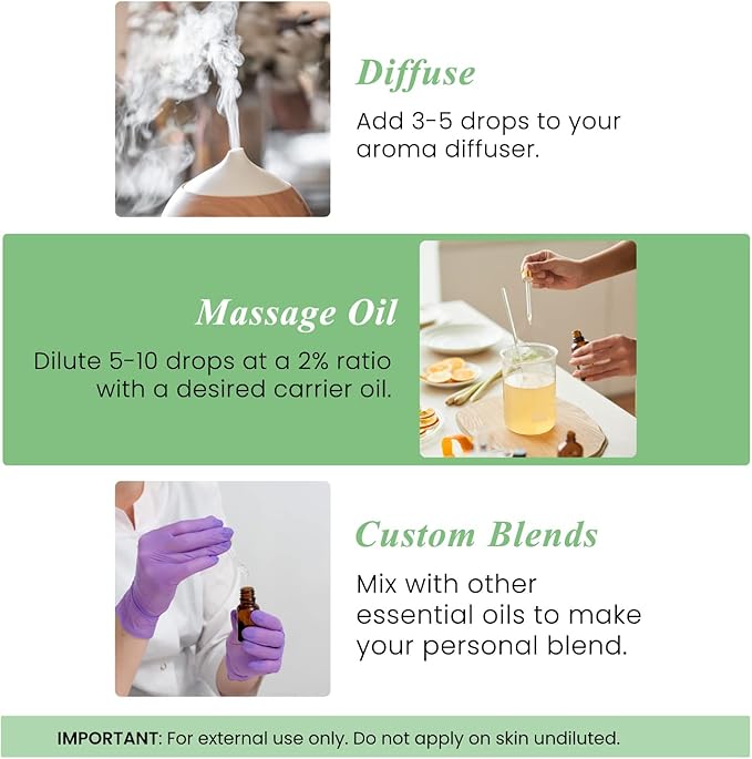 Handcraft Blends Basil Essential Oil – Huge 4 Fl Oz – 100% Pure and Natural – - Image 6