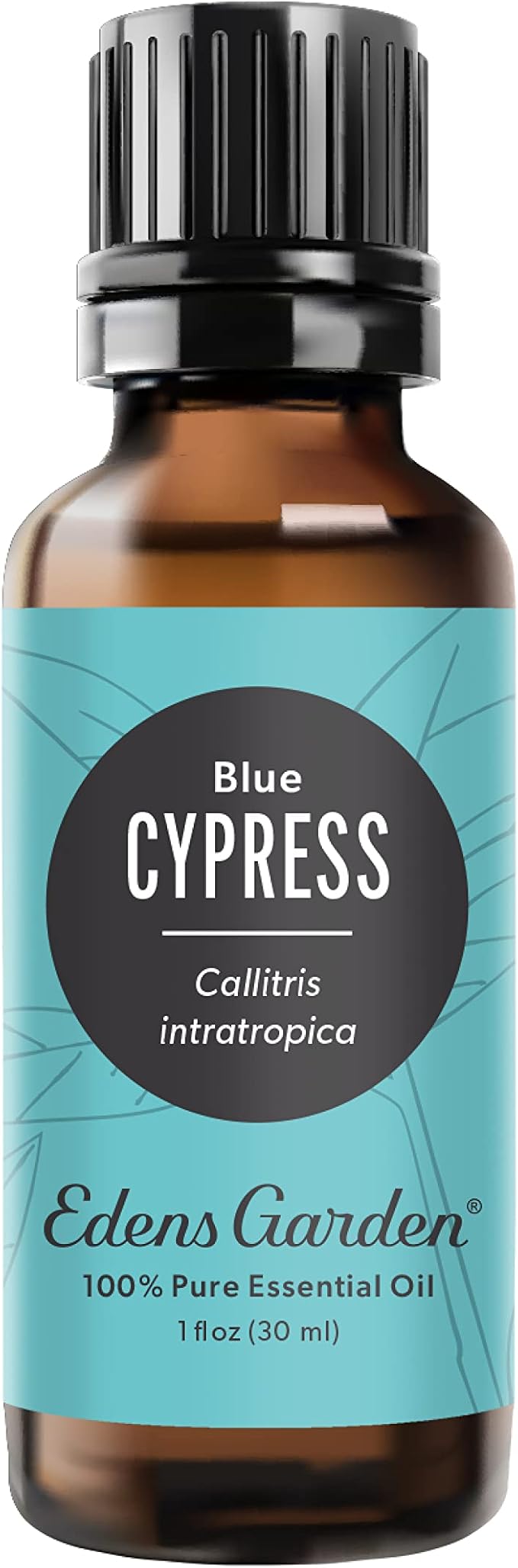 Edens Garden Cypress- Blue Essential Oil- 100% Pure Premium Grade, Therapeutic by EdensGarden