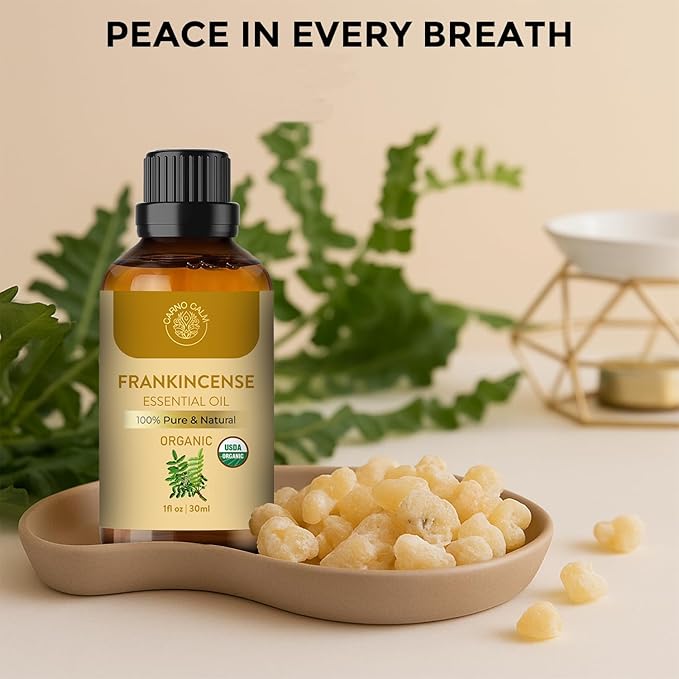 Frankincense Essential Oil | USDA Certified Organic Frankincense Oil | - Image 3