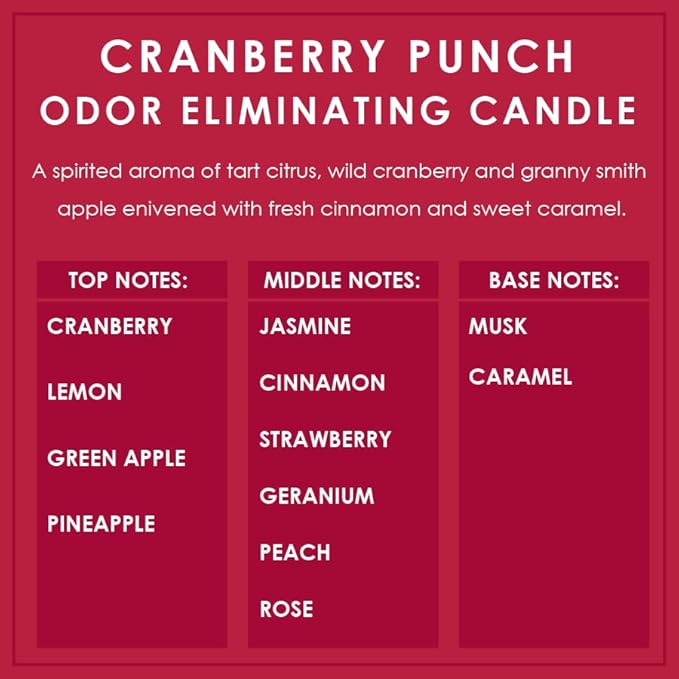 Cranberry Punch Odor Eliminating Highly Fragranced Candle - Image 4