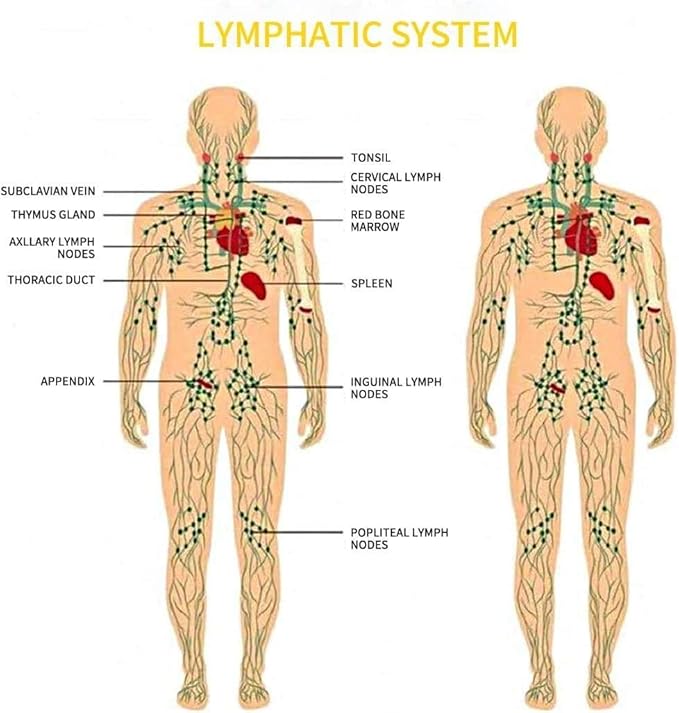 Ginger Oil, Ginger Massage Oil for Lymphatic Drainage, Natural Body Oil for Skin - Image 7