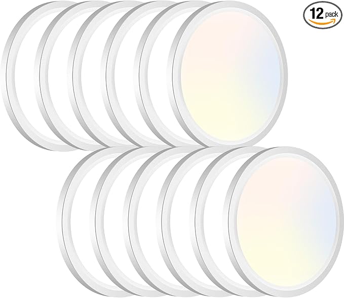 12PACK LED Flush Mount Ceiling Light Fixture, 3000K-4000K-6500K & 100W by CeilingLights