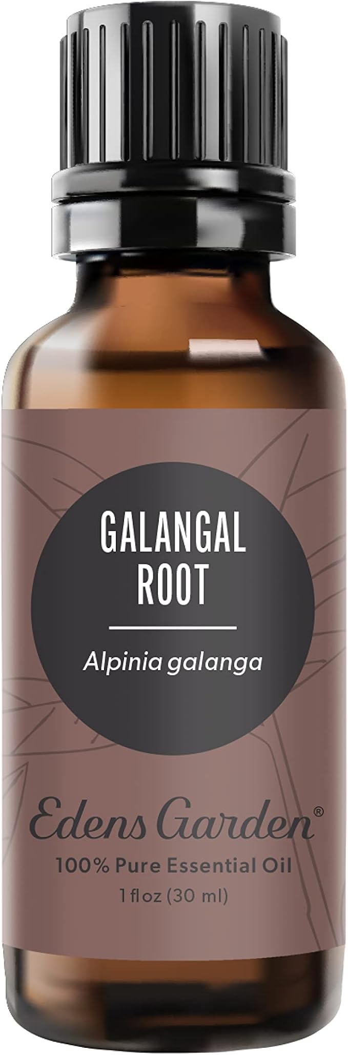 Edens Garden Galangal Root Essential Oil- 100% Pure Premium Grade, Therapeutic by EdensGarden