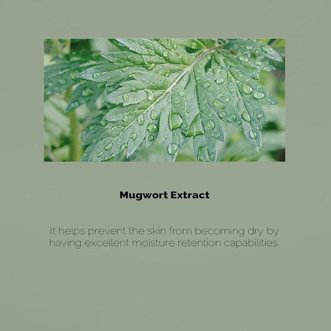 PRETTYSKIN Mugwort Daily Facial Toner - Image 6