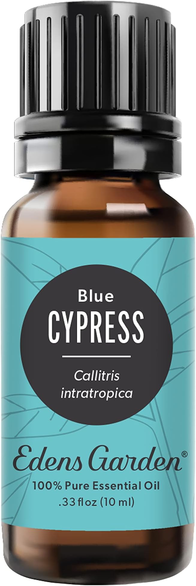Edens Garden Cypress- Blue Essential Oil- 100% Pure Premium Grade, Therapeutic by EdensGarden