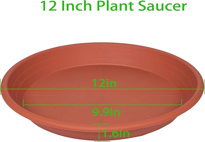 2 Pack of Plant Saucer 12 inch, 12 inch Plastic Plant Drip Trays, Heavy Duty - Image 2