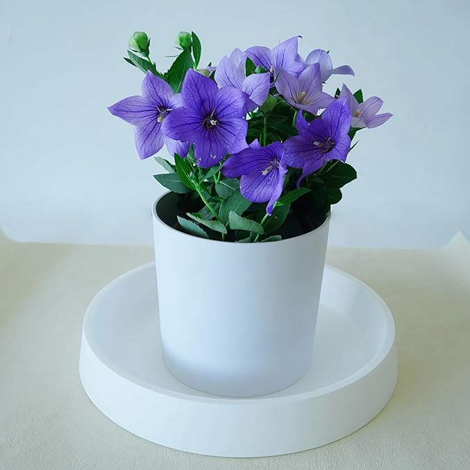 Plant Saucer Tray for Ceramic Plastic Pots, 20 inch Plant Saucers for Indoors - Image 4