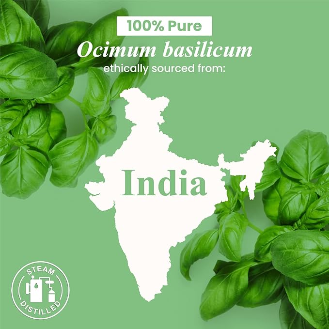 Handcraft Blends Basil Essential Oil – Huge 4 Fl Oz – 100% Pure and Natural – - Image 8