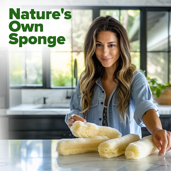 HOME GROWN Luffa Seeds 80+ Heirloom Non-GMO Loofah Gourd Seeds - Image 5
