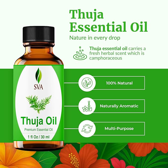 SVA Thuja Essential Oil – 1 Fl Oz – 100% Natural Thuja Oil - Image 2