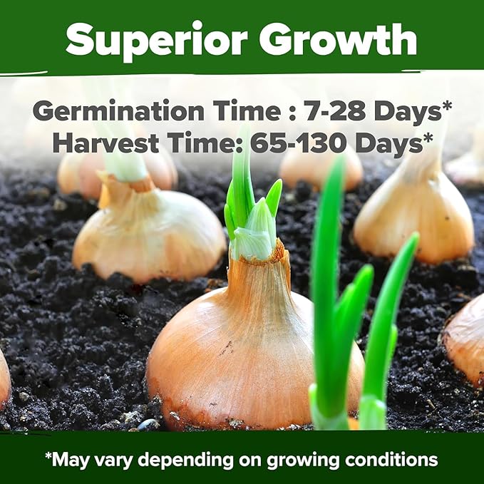 HOME GROWN 8 Onion Variety Mix 1600+ Heirloom Non-GMO Seeds - Image 5