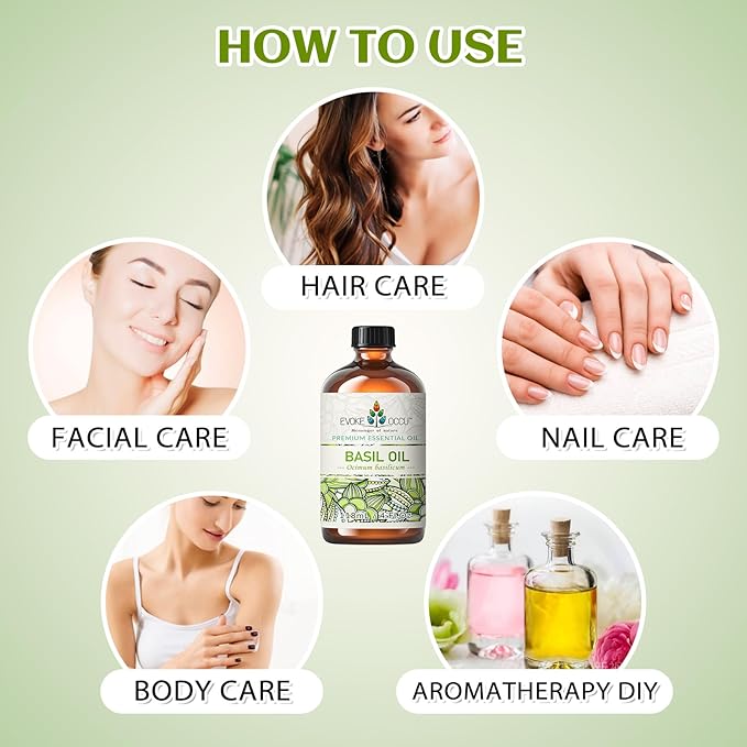 EVOKE OCCU Basil Essential Oil for Skin Massage Diffuser and Candle Making- 4 - Image 4