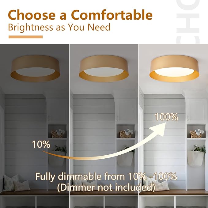 Bargeni Flush Mount Ceiling Light, 16.5 inch LED Ceiling Light Fixture - Image 6