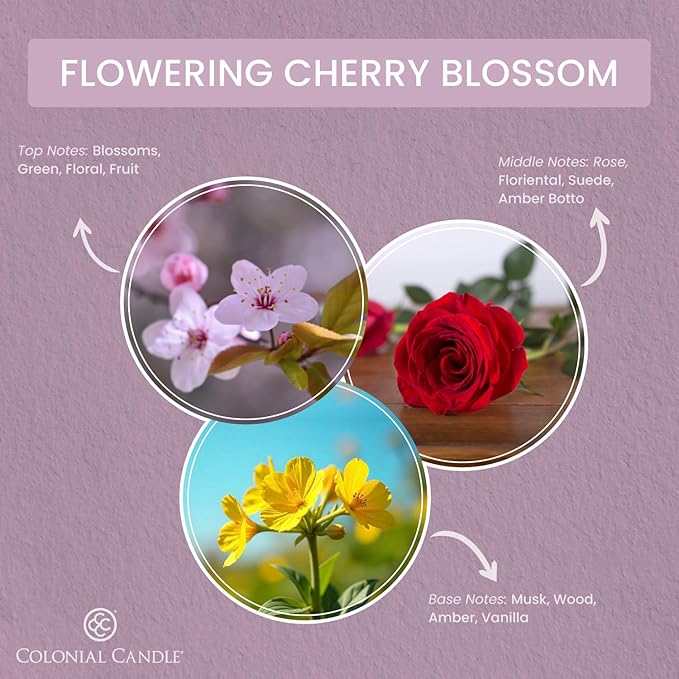 Colonial Candle Flowering Cherry Blossom Scented Candle Jar, Highly Fragranced - Image 2