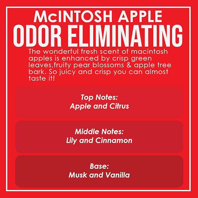 McIntosh Apple 2 Pack Odor Eliminating Highly Fragranced Candle - Image 3