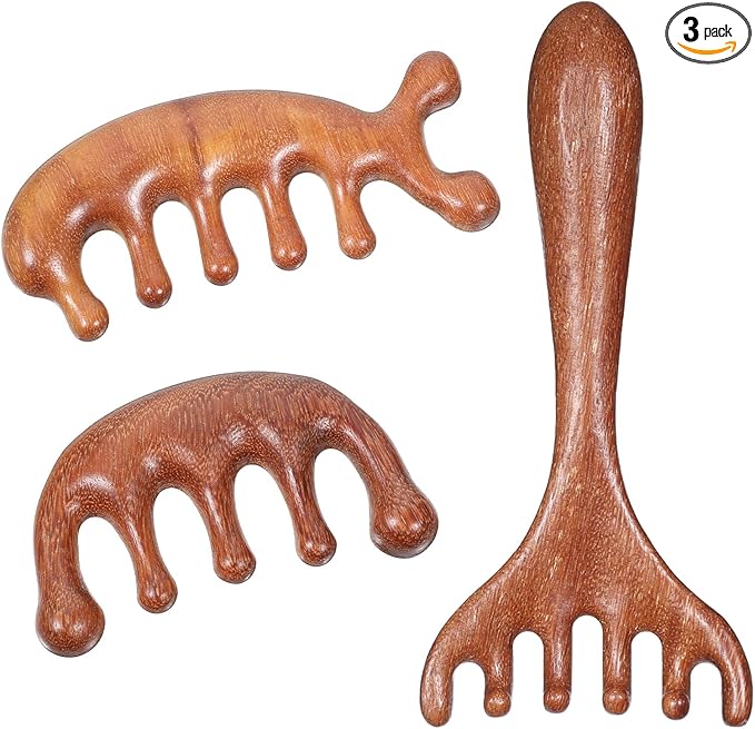 EupHHonycs 3 Pcs Wooden Head Scalp Massager Comb, Wooden Wide Tooth Comb by Unknown
