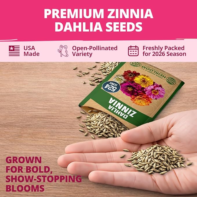 HOME GROWN Zinnia Dahlia Seeds Pack - Image 7