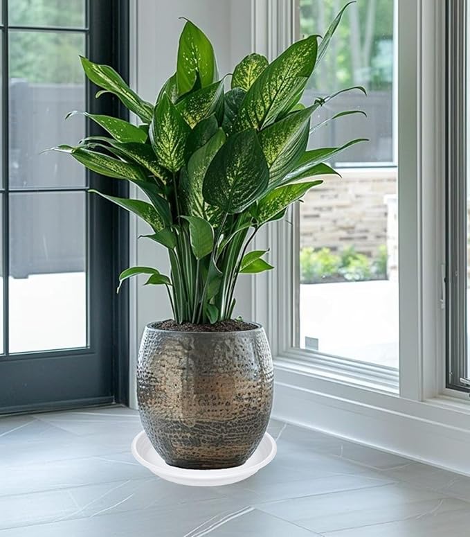 2 Pack of 19 inch Plant Saucer, Large Plant Tray, Heavy Sturdy Plant Drainage - Image 3