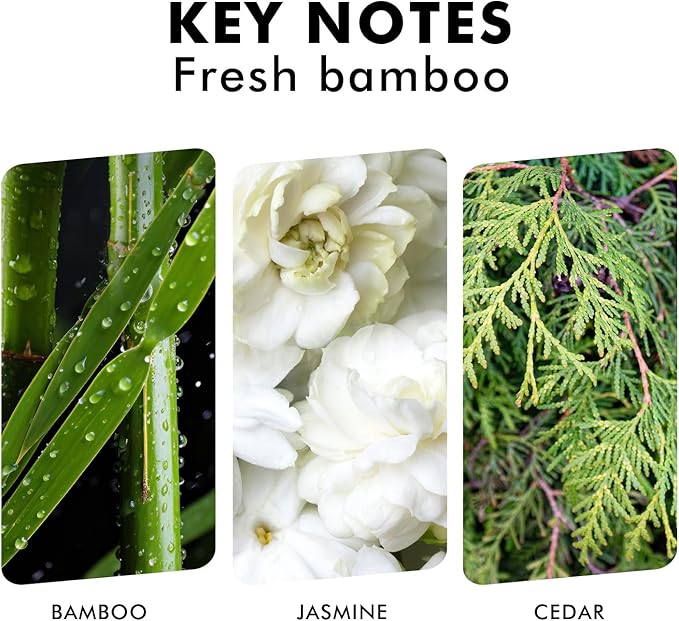 Xcleen Reed Diffuser, Fresh Bamboo Scented Diffuser - Image 3