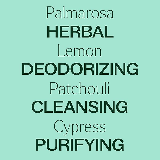 Plant Therapy Deodorizing Essential Oil Blend 30 mL 100% Pure, Therapeutic Grade - Image 4