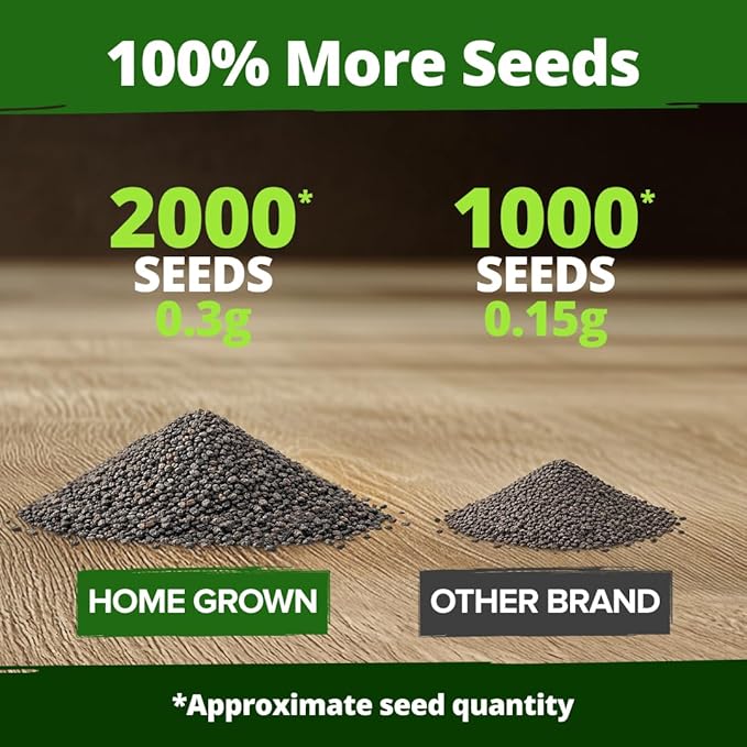 HOME GROWN Snapdragon Seeds Tetra – 2000 Tall Flower Seeds to Plant Outside - Image 4